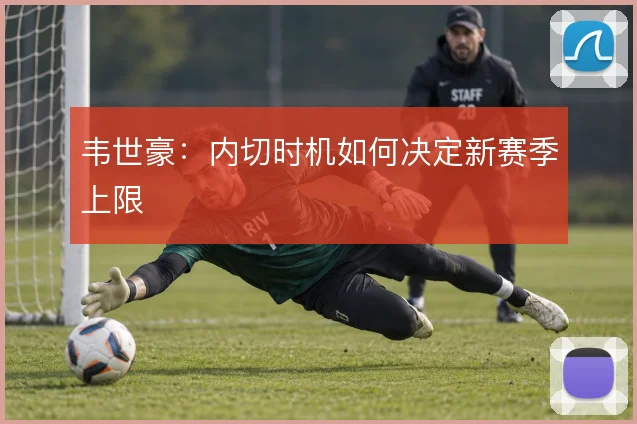 韦世豪：内切时机如何决定新赛季上限