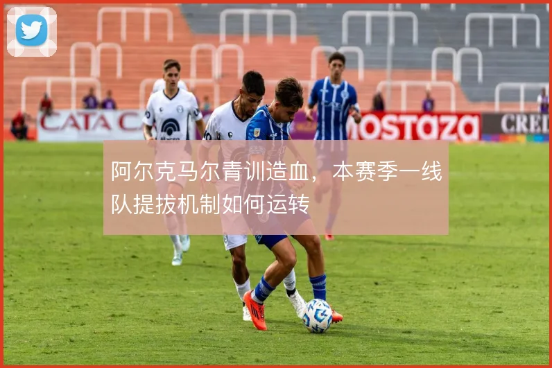 阿尔克马尔青训造血,本赛季一线队提拔机制如何运转