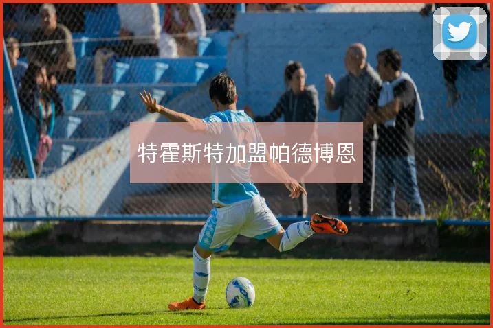 特霍斯特加盟帕德博恩