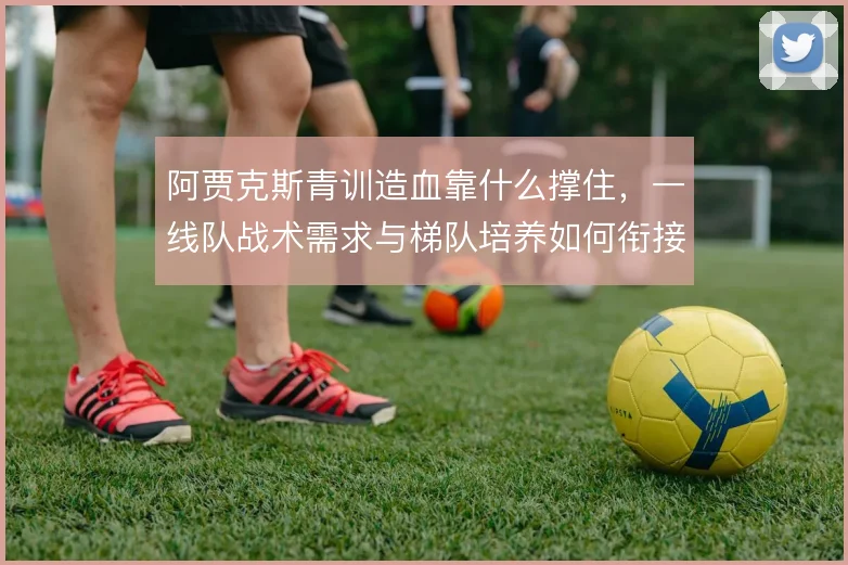阿贾克斯青训造血靠什么撑住，一线队战术需求与梯队培养如何衔接